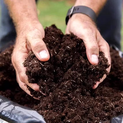 Vermi Compost-1