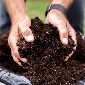 Vermi Compost