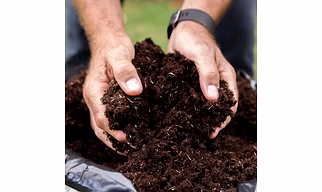 Vermi Compost