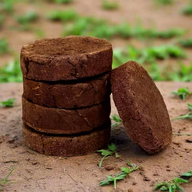 Cow dung Cake