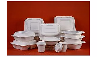 Bagasse Tableware Products