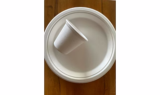 Bagasse Plates | Eco Friendly Dining