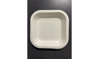 Bagasse Square Tray | Eco-Friendly Serving Tray
