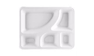 Bagasse Meal Trays | Eco-Friendly Tableware