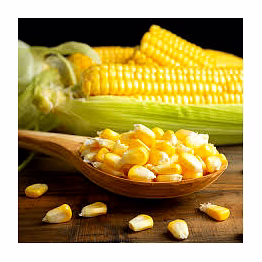yellow maize