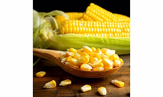 yellow maize