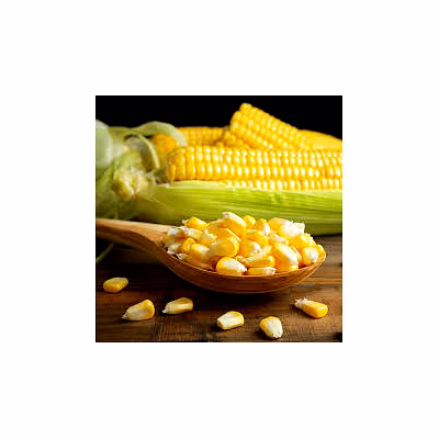 yellow maize