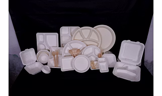 Biodegradable Plates