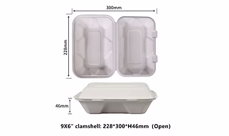 Biodegradable Container Box