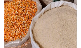 Rice and Maize