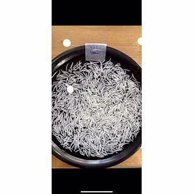 Basmati rice 1121