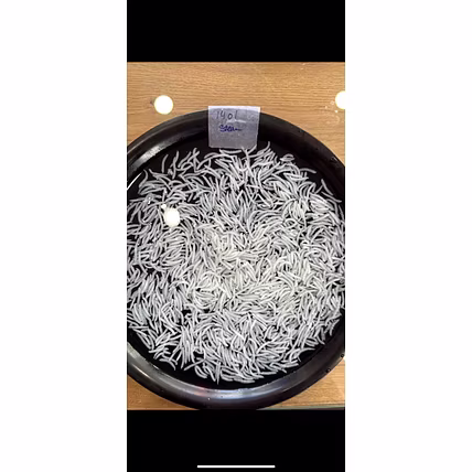 Basmati rice 1121-12761645