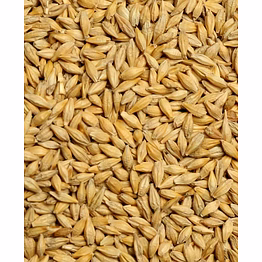 barley