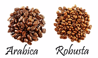 Coffee Beans Arabica