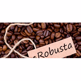 coffee beans robusta