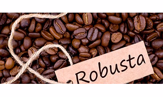 Coffee Beans Robusta