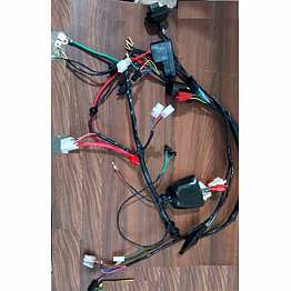 rfnt 2w main wire harness