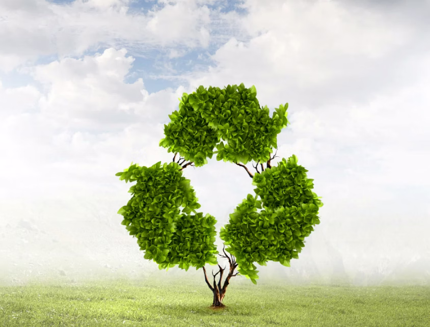Indian Industrial Recycling Practices