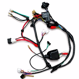 rfnt 2w main wire harness