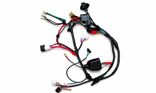 2w main wire Harness