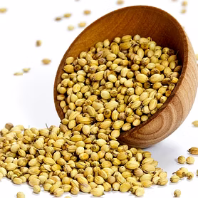 CORIANDER