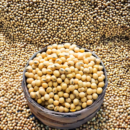 SOYABEANS-1