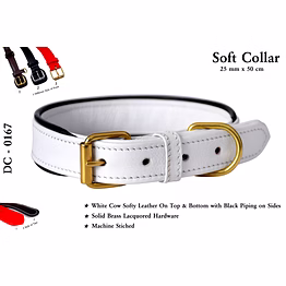 dog collar