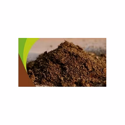 Coco Pith-12762461
