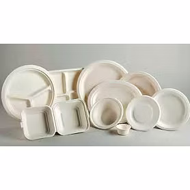 bagasse plates