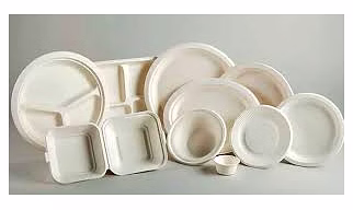 bagasse plates