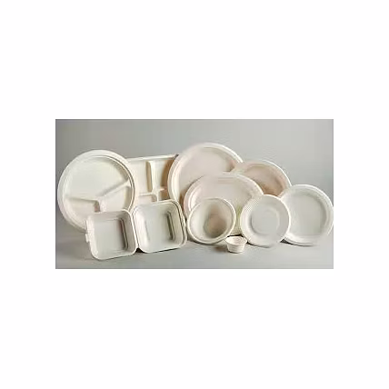 bagasse plates-12762495