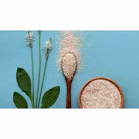 psyllium husk