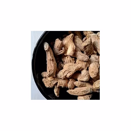 dry ginger-12762523