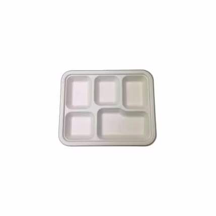 bagasse plates-2