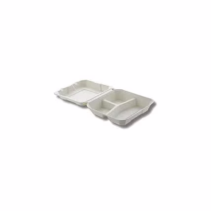 bagasse plates-3