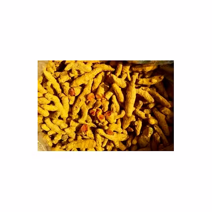 turmeric finger-1