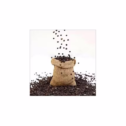 black pepper-3