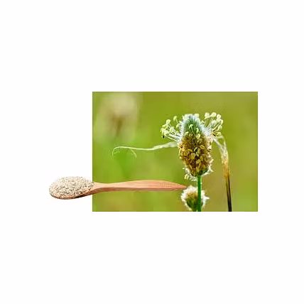 psyllium husk-1