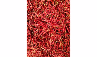 Dry Red Chilli