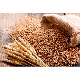 wheat