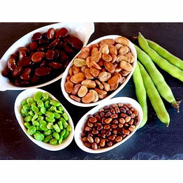 fava / broad beans