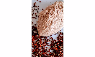 Finger Millet (Ragi)