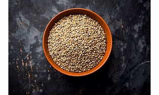Pearl Millet (Bajra)