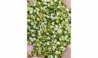 Gram (Green Moong)