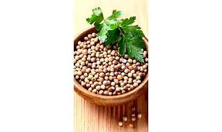 Coriander Seeds