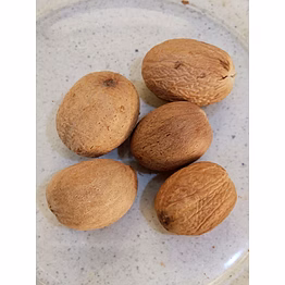 unitattva nutmeg jumbo