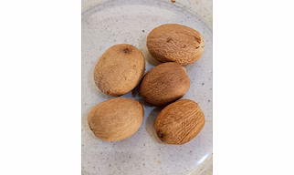 Nutmeg Jumbo