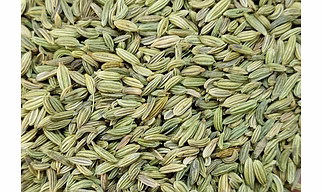 Fennel Seeds