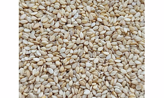 White Sesame Seeds