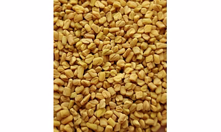 Fenugreek Seeds